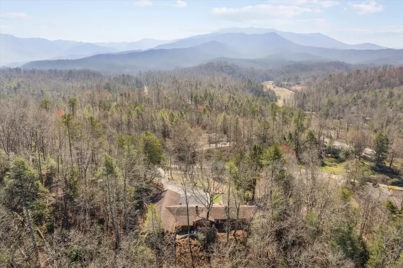 Mountain view across treetops